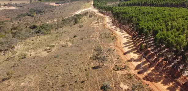 Lote/Terreno à venda, 20000m² no , Cordisburgo