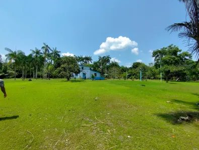 Fazenda/Sítio com 7 Quartos à venda, 390000m² no Área Rural de Manacapuru, Manacapuru
