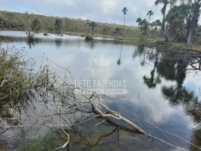 Fazenda/Sítio à venda, 31500000m² no , Bocaiúva