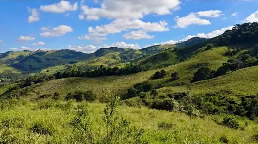Fazenda/Sítio à venda, 20000m² no Jardim Ana Maria, Cambuí