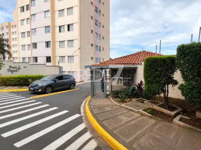 Apartamento com 2 Quartos à venda, 52m² no Jardim Aero Continental, Campinas