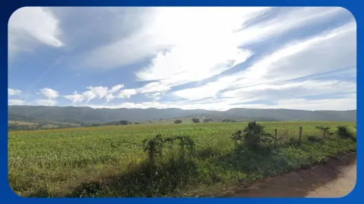 Fazenda/Sítio com 1 Quarto à venda, 380000m² no , Delfinópolis