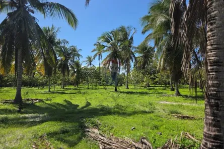 Lote/Terreno à venda, 832m² no Aranaú, Acaraú