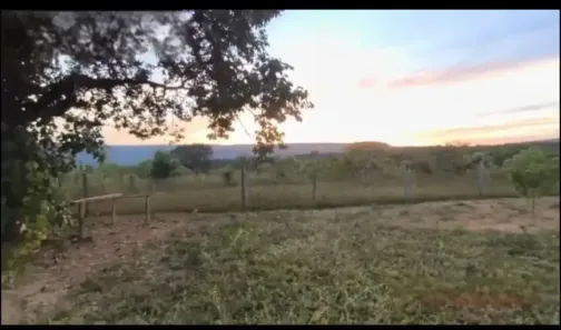 Fazenda/Sítio à venda, 817000000m² no , Arinos