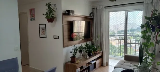 Apartamento com 2 Quartos à venda, 48m² no Vila Moreira, São Paulo