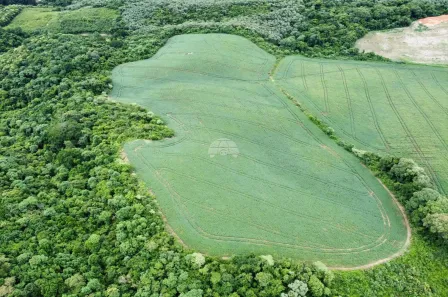 Fazenda/Sítio à venda, 48072m² no Jardim Planalto, Almirante Tamandaré