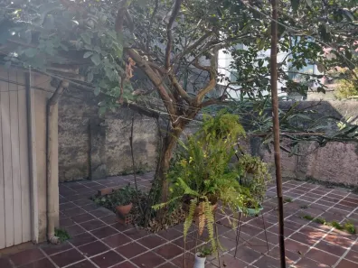 Casa com 3 Quartos à venda, 300m² no Vila Dom Pedro I, São Paulo