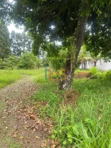 Lote/Terreno à venda, 800m² no São Domingos, Ilhéus