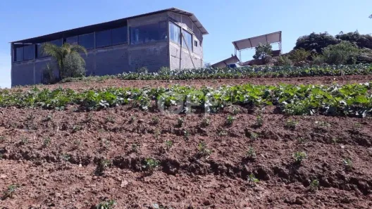 Fazenda/Sítio com 1 Quarto à venda, 250m² no Ibiúna, Ibiúna