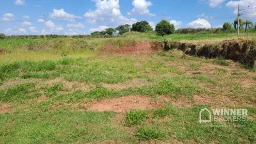 Lote/Terreno à venda, 300m² no Loteamento Residencial Iguatemi, Maringá