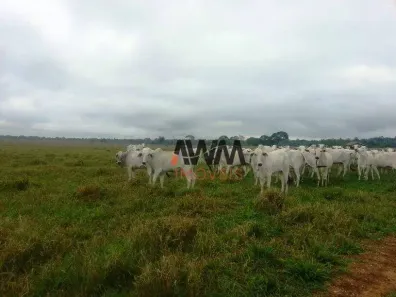Fazenda/Sítio à venda, 21000m² no Novo Diamantino, Diamantino