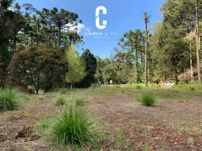 Lote/Terreno à venda, 2150m² no Fonte Simao, Campos do Jordão