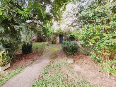 Lote/Terreno à venda, 100m² no Vila Nova Cachoeirinha, São Paulo