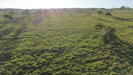 Fazenda/Sítio com 4 Quartos à venda, 25000m² no , Caldazinha