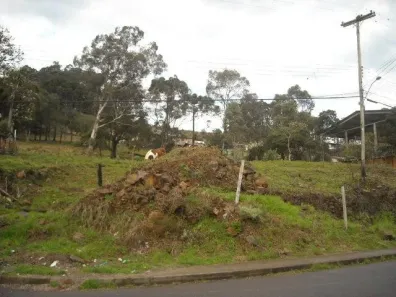 Lote/Terreno para alugar, 4000m² no São Cristóvão, Caxias do Sul