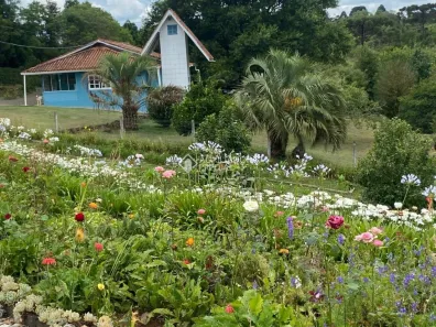 Casa com 4 Quartos à venda, 300m² no Curitibanos, Curitibanos