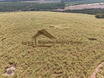 Fazenda/Sítio à venda, 1m² no Área Rural de Avaré, Avaré