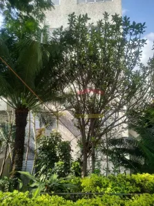 Apartamento com 2 Quartos à venda, 68m² no Água Fria, São Paulo