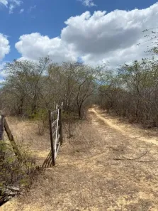 Fazenda/Sítio com 3 Quartos à venda, 3950000m² no , Guamaré