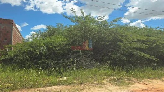 Lote/Terreno à venda, 385m² no Rincão, Mossoró