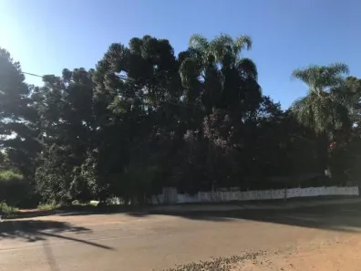 Lote/Terreno à venda no Centro, Ponta Grossa