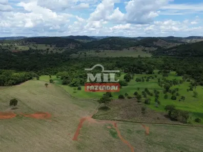 Fazenda/Sítio à venda, 500m² no , Cezarina