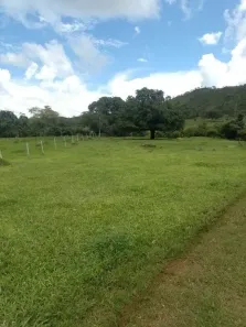 Fazenda/Sítio à venda, 9792000m² no Centro, Campinaçu