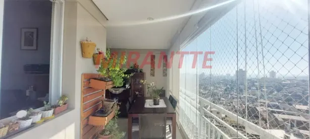 Apartamento com 3 Quartos à venda, 72m² no Vila Isolina Mazzei, São Paulo