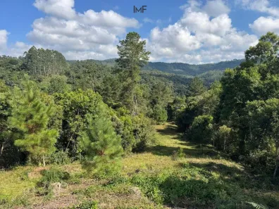 Lote/Terreno à venda, 22168m² no , Doutor Pedrinho