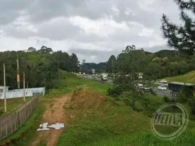 Lote/Terreno à venda, 10837m² no Colônia Rio Grande, São José dos Pinhais