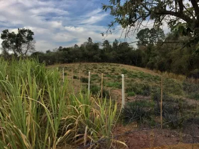 Lote/Terreno à venda, 5600m² no Chácaras Do Guacuri, Itupeva