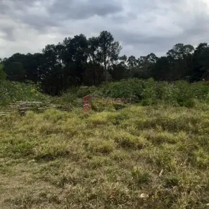 Lote/Terreno à venda, 1243m² no Horto Florestal, Jundiaí