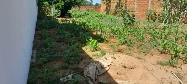 Lote/Terreno à venda, 334m² no Jardim Florença, Marília