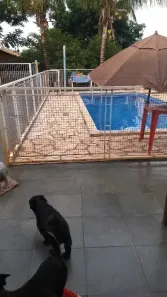 Fazenda/Sítio com 3 Quartos à venda, 700m² no Jardim Itaú, Ribeirão Preto