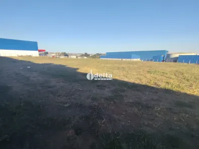 para alugar, 10000m² no Marta Helena, Uberlândia