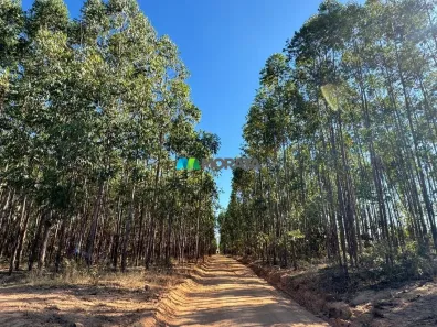 Fazenda/Sítio com 1 Quarto à venda, 960m² no Área Rural de Curvelo, Curvelo