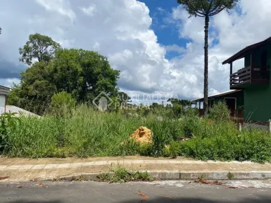 Lote/Terreno à venda, 367m² no , Canela
