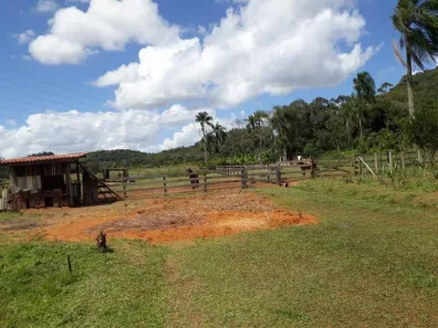 Fazenda/Sítio com 2 Quartos à venda, 4100m² no Caixa d'Água, Guaramirim