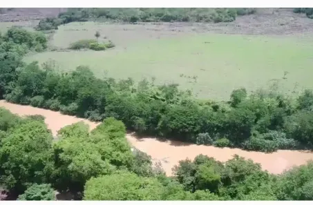 Fazenda/Sítio à venda, 1m² no , Buritis
