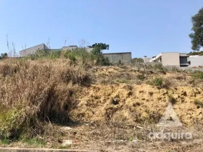 Lote/Terreno à venda, 802m² no Estrela, Ponta Grossa