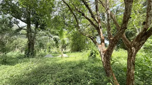 Lote/Terreno à venda, 7000m² no Área Rural de Cachoeiras de Macacu, Cachoeiras de Macacu