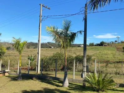Fazenda/Sítio com 3 Quartos à venda, 5000m² no Conjunto Habitacional Jamile Dequech, Londrina