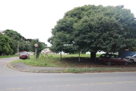 Lote/Terreno à venda, 1010m² no Rio Pequeno, São José dos Pinhais