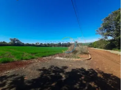 Fazenda/Sítio à venda, 10000m² no Jardim Londrilar, Londrina