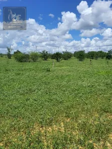 Fazenda/Sítio com 3 Quartos à venda, 450000m² no , Jandaíra