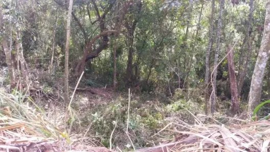 Lote/Terreno à venda, 580m² no Chácara Jaguari (Fazendinha), Santana de Parnaíba