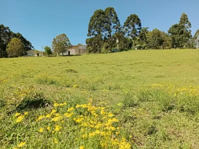 Fazenda/Sítio com 2 Quartos à venda, 67779m² no Campestre da Faxina, São José dos Pinhais