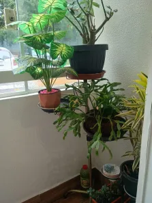 Apartamento com 2 Quartos à venda, 52m² no Dos Casa, São Bernardo do Campo