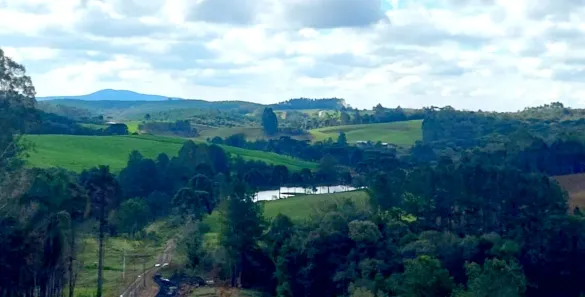 Fazenda/Sítio à venda, 59000m² no Bateias de Baixo, Campo Alegre