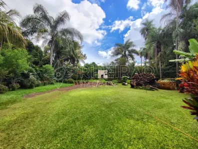 Casa com 4 Quartos para alugar, 350m² no República, Ribeirão Preto